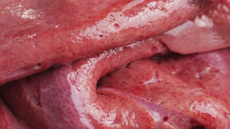 raw liver close-up