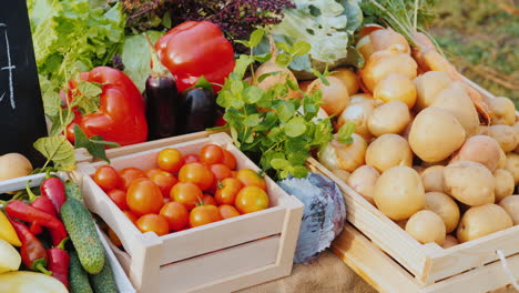 boxes with vegetables on the counter of the farmer's market