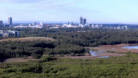 La-Ciudad-Se-Encuentra-Con-La-Naturaleza:-Un-Exuberante-Parque-Que-Destaca-El-Imponente-Horizonte-De-Una-Bulliciosa-Metrópolis