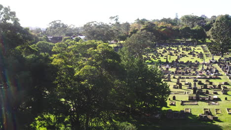 aerial drone flying around large trees in graveyard cemetery on a sunny day in australia