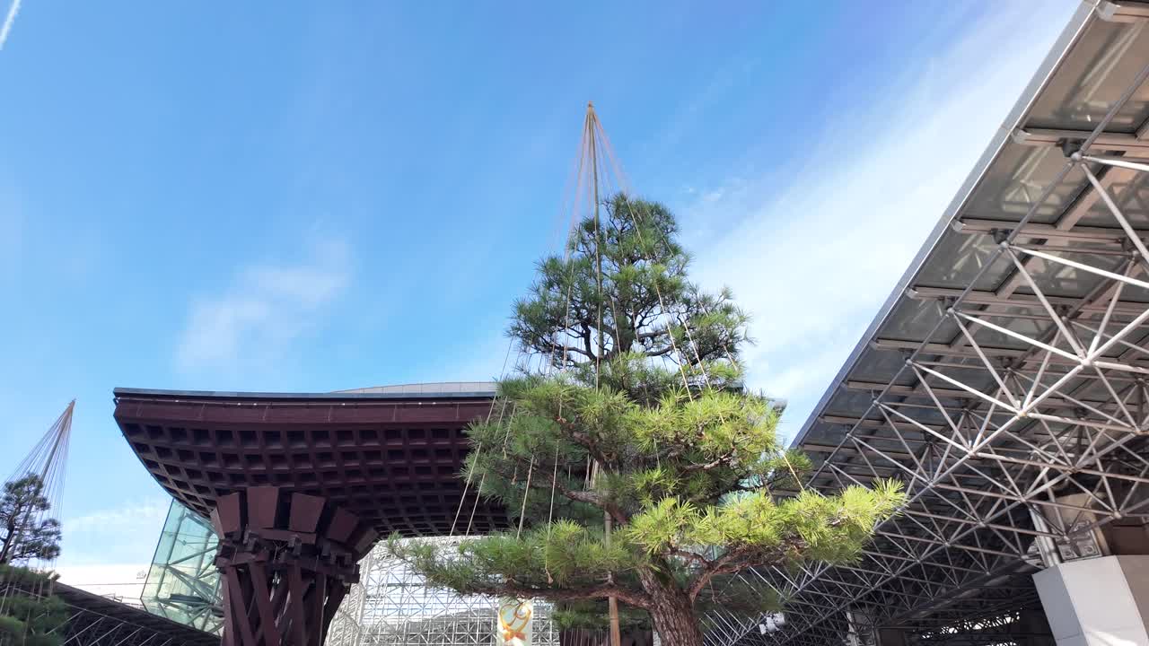 Traditional japanese yukitsuri ropes supporting pine branches from heavy snowfalls, Kanazawa Station, Japan
