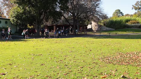 children exploring zoo with teachers