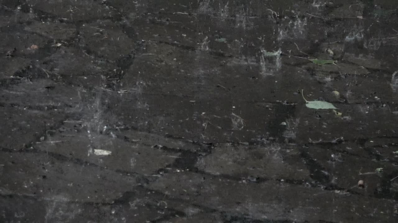 grandes gotas de lluvia aplauden aplaudiéndonos salpicando en el pavimento húmedo de piedra natural