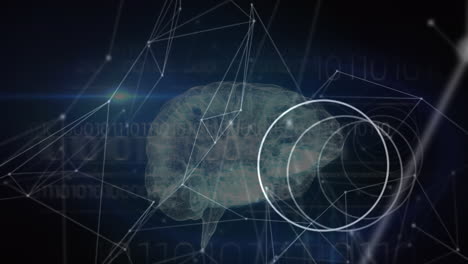 animación de la red de conexiones a través del procesamiento de datos