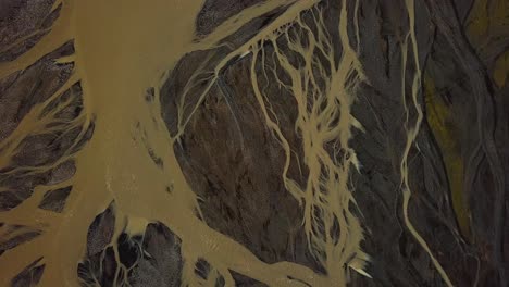 aerial rising top view of a glacier river flowing in a valley, with many branches, on dark sand, iceland