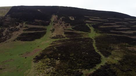 Rural-Moel-Famau-agricultural-mountain-hillside-terrain-aerial-view-heather-covered-hiking-slope