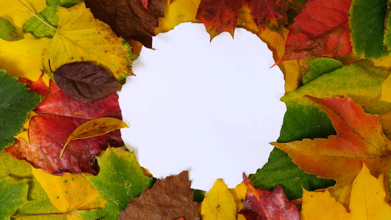 Autumn background with round frame with copy space