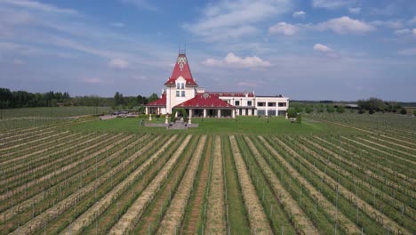 Toma-De-Drones-De-Un-Viñedo-Y-Una-Auténtica-Bodega-En-Vojvodina,-Serbia