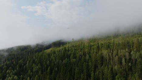 Beautiful-green-forest-and-trees-with-clouds-in-blue-sky-in-Canada