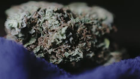 cogollos de marihuana secos y quebradizos con un color verde descolorido - primer plano