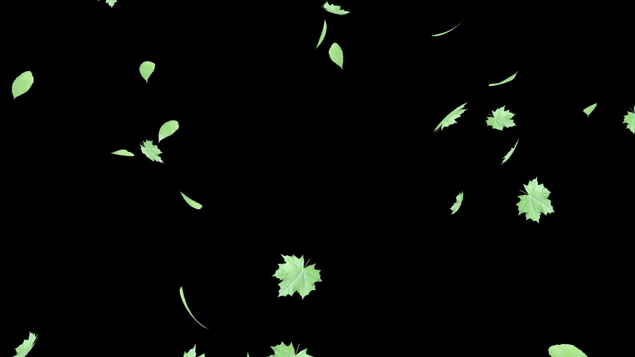 많은 초록색 잎이 떨어집니다.