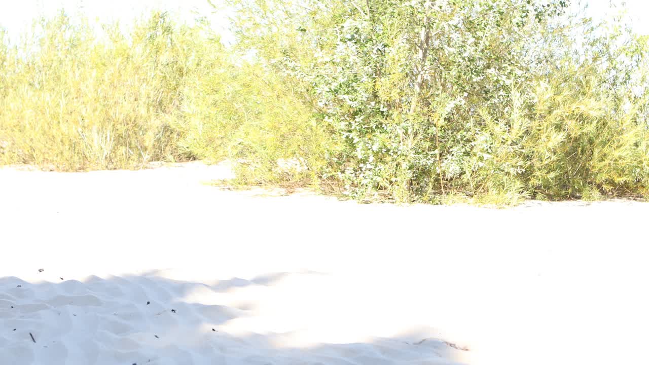 vista lateral del perfil toma panorámica de una mujer joven haciendo yoga en la playa sentada en la arena