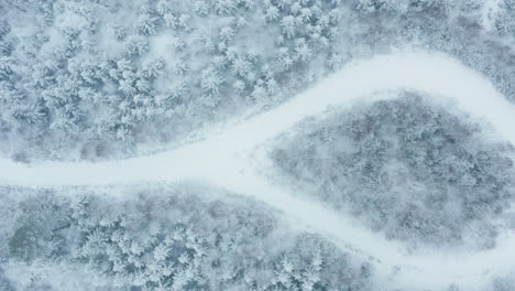 aerial - roads around a snowy forest in sweden, wide shot top down pan right