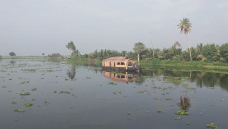 traditional houseboat sails through water plants at alappuzha, kerala, india