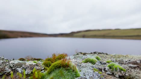 Páramos-De-Yorkshire-En-La-Campiña-Inglesa