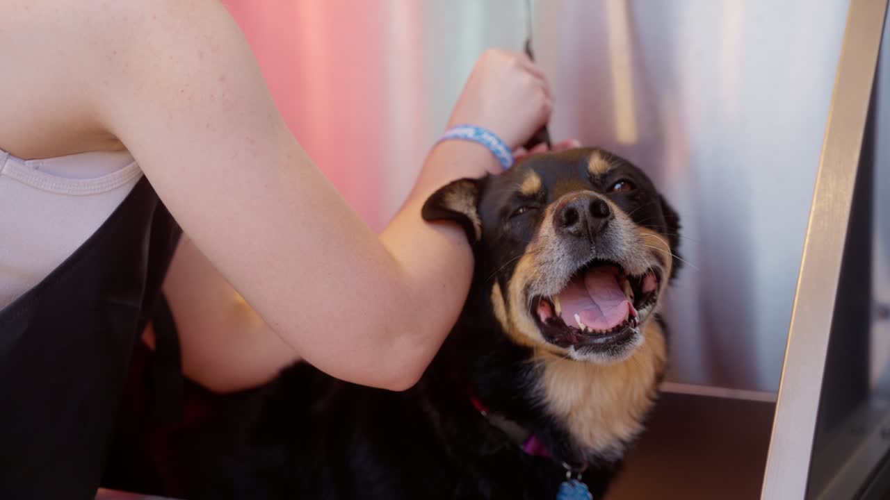 한 젊은 여성이 그녀의 개를 욕조 밖에서 목욕시니다.