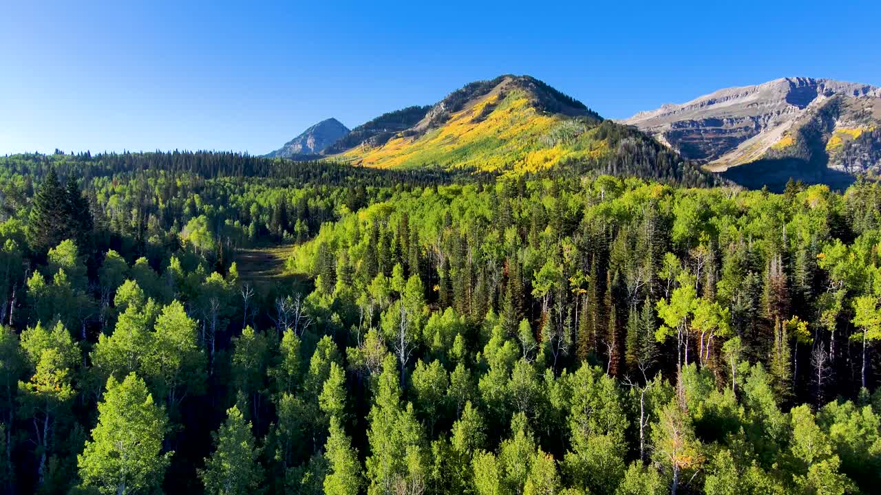 Vista aerea delle montagne dello Utah all'inizio dell'autunno con i pioppi tremuli che ingialliscono