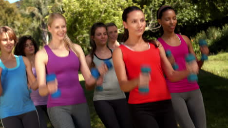 in high quality format fitness group lifting hand weights in park