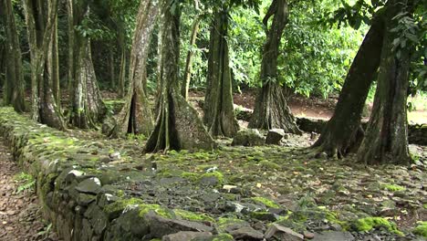 Marae-Ri&#39;i-Noa,-Opunohu,-Moorea,-Islas-De-La-Sociedad,-Polinesia-Francesa