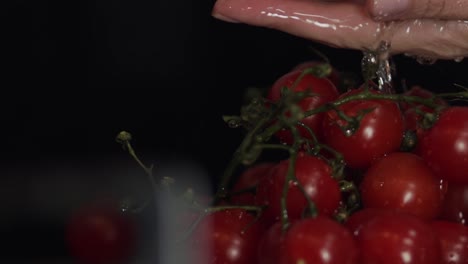 Red-ripe-tomatoes-in-black-background,-washing-in-closeup