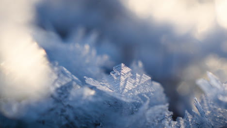 Primer-Plano-De-Un-Cristal-De-Hielo-De-Escarcha-A-La-Luz-Del-Sol.