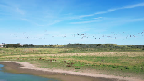 Imágenes-De-Vídeo-Aéreas-Ofrecen-Una-Visión-De-Las-Fascinantes-Marismas-De-Agua-Salada-A-Lo-Largo-De-La-Costa-De-Lincolnshire,-Con-Aves-Marinas-En-Vuelo-Y-En-Las-Lagunas-Y-Lagos-Interiores.