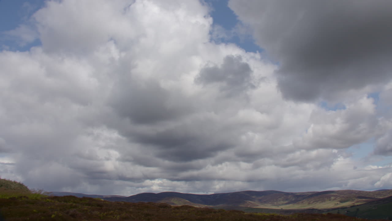 Wide panning shot of the Airlie tower on top of Tulloch Hill