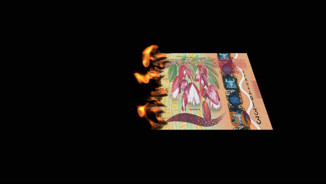 burning fijian fifty dollar banknote