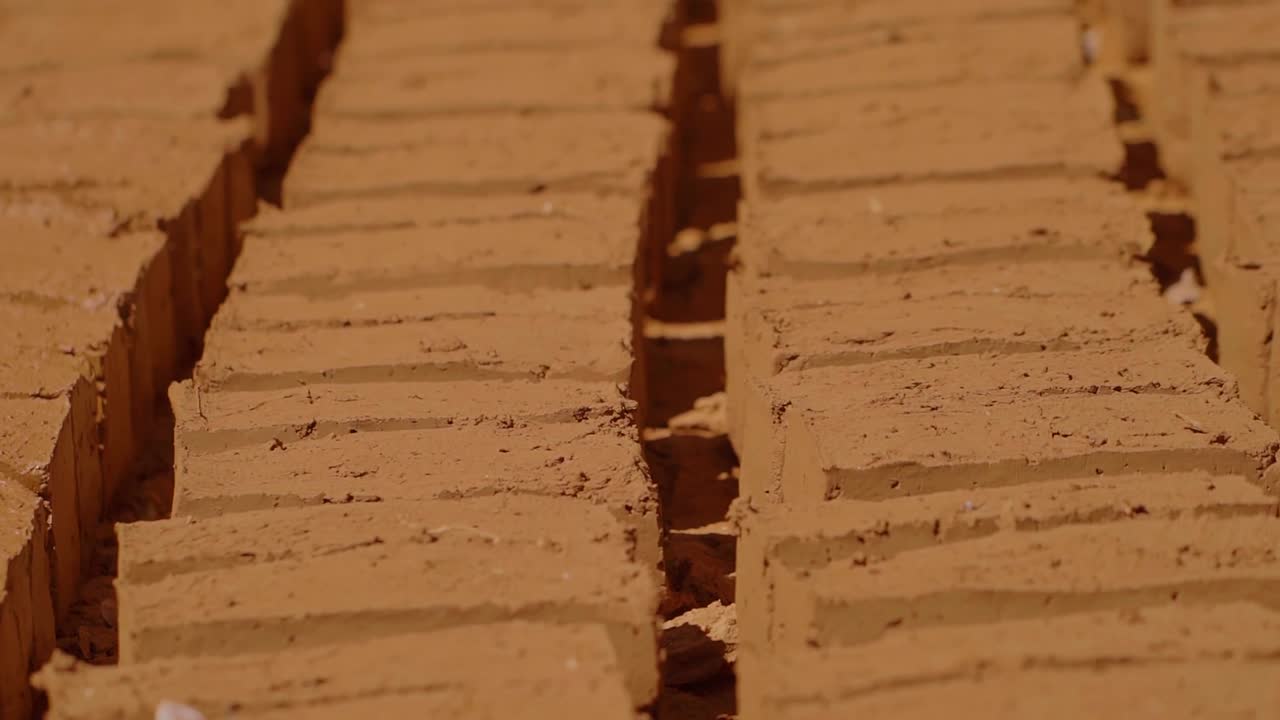 Adobe bricks drying under sunlight, revealing traditional construction methods in Chapada dos Veadeiros, Brazil, highlighting regional architectural sustainability and cultural preservation