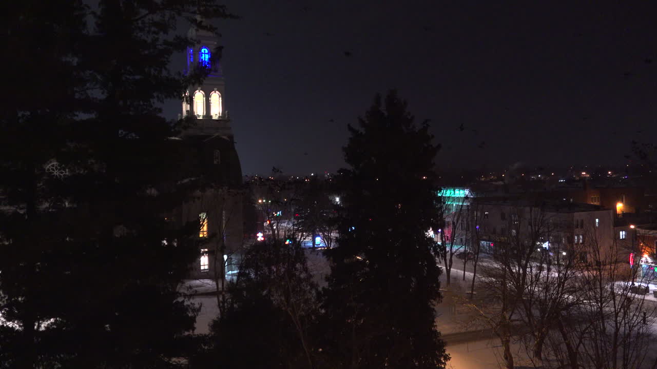 밤에 시내 중심부의 나무에서 까마귀의 거대한 그룹