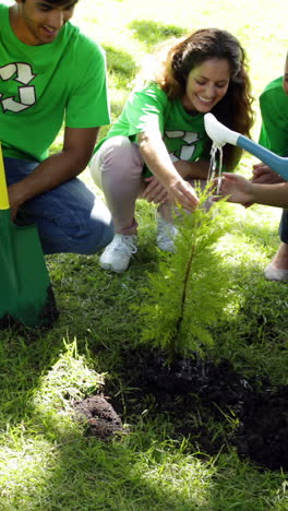 activistas ambientales regando un nuevo árbol en el parque