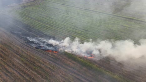 Aerial-steady-fooatge-of-a-burning-farm-being-prepared-for-planting,-Grassland-Burning,-Pak-Pli,-Nakhon-Nayok,-Thailand