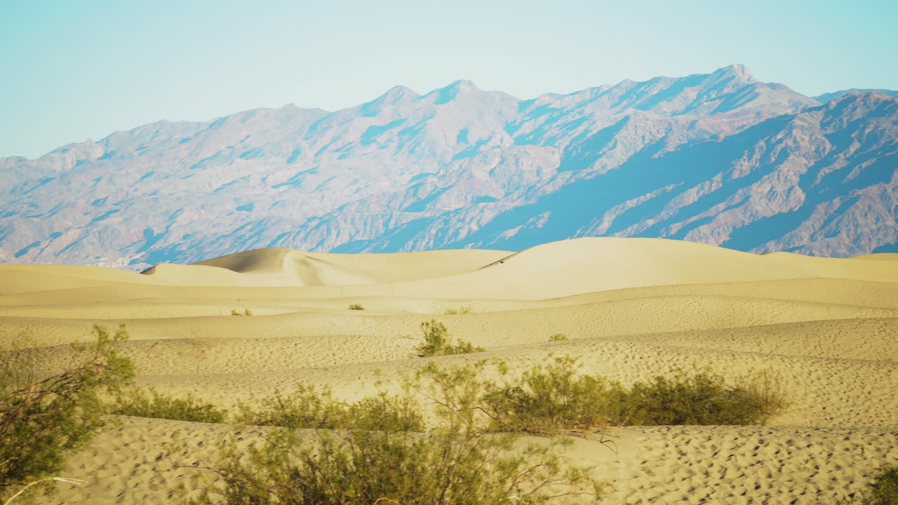관목과 멀리 떨어진 산들과 메스 키트에서 롤링 사막 모래 언덕