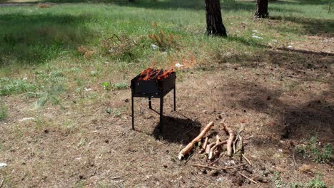 brazier parrilla de barbacoa en el bosque 4k