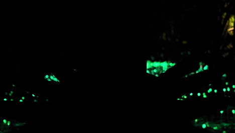 silhouette of people in artistic performance with green light bokeh in a dark room