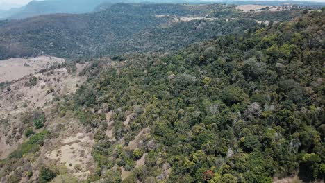 drone aerial pan up to reveal a vast australian mountain valley with native trees