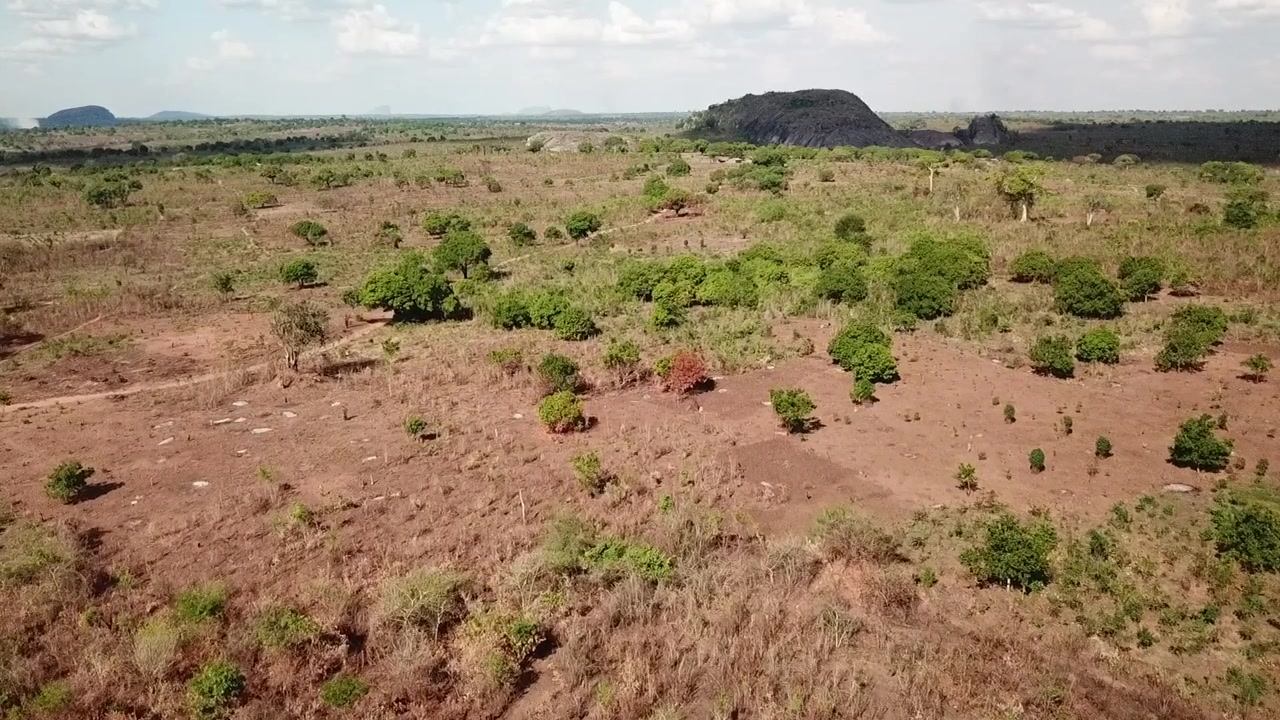 Veduta aerea del Mozambico settentrionale rurale, che mostra una savana secca, alberi sparsi e una collina rocciosa in lontananza