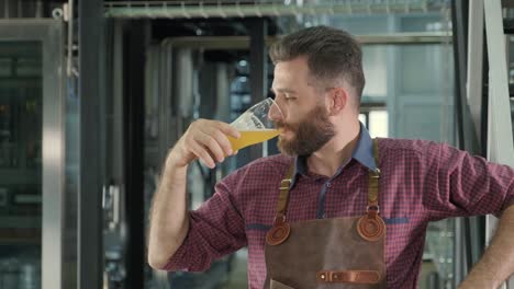 young brewer wearing a leather apron is tasting beer at a modern brewery