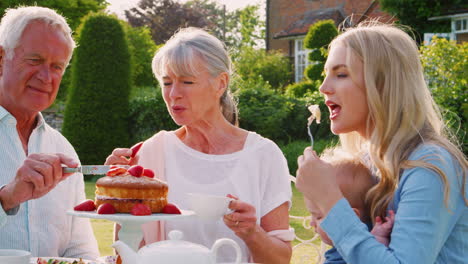 grandparents have afternoon tea with grandson and adult daughter