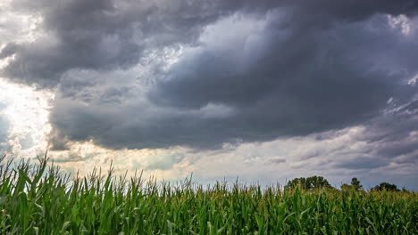 In-Einem-Zeitraffer-In-Lettland-Ziehen-Graue-Wolken-über-Die-Grüne-Landschaft