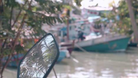 palm-tree-reflected-in-auto-mirror-against-blurred-boats