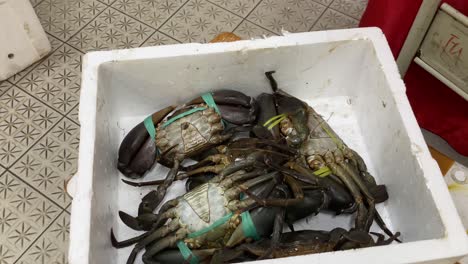 cangrejos negros vivos atados con cuerdas en una caja de espuma de poliestireno esperando la venta
