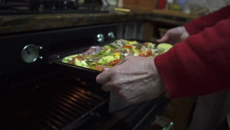 una mujer puso un pollo asado con patatas en el horno tradicional en una cocina clásica a cámara lenta