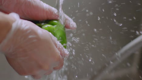 fresh green pepper being washed under tap water