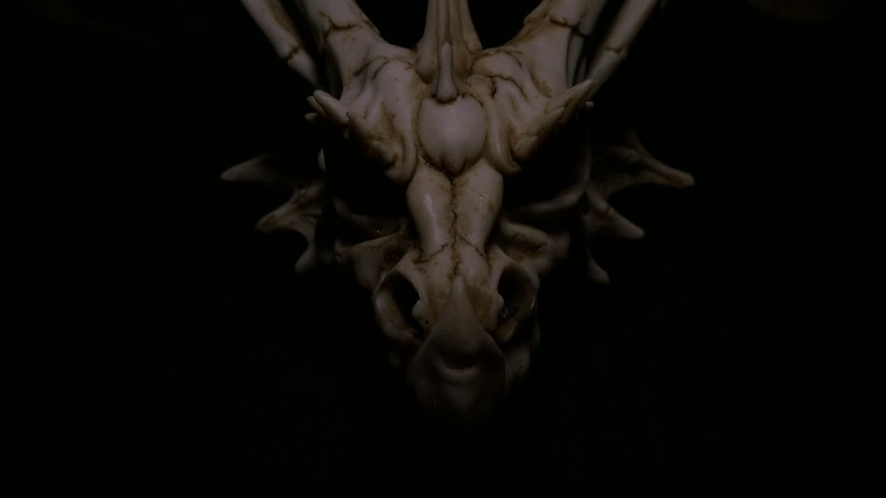 판타지 뼈 드래곤 두개골의 제품 촬영