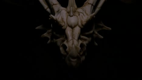 sesión de producto de cráneo de dragón de hueso de fantasía