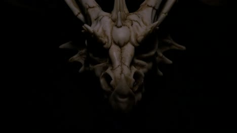 product shoot of fantasy bone dragon skull