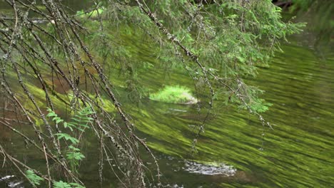 flow of the ahja river