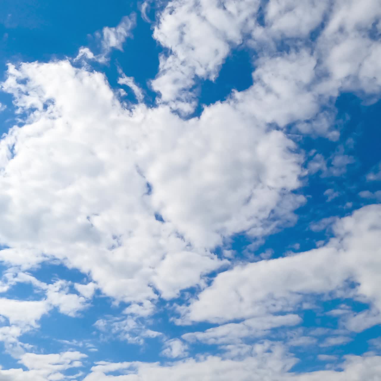Soft white cloudscape moving by the azure horizon. Beautiful low angle view of sky on sunny day covering with light clouds. Timelapse