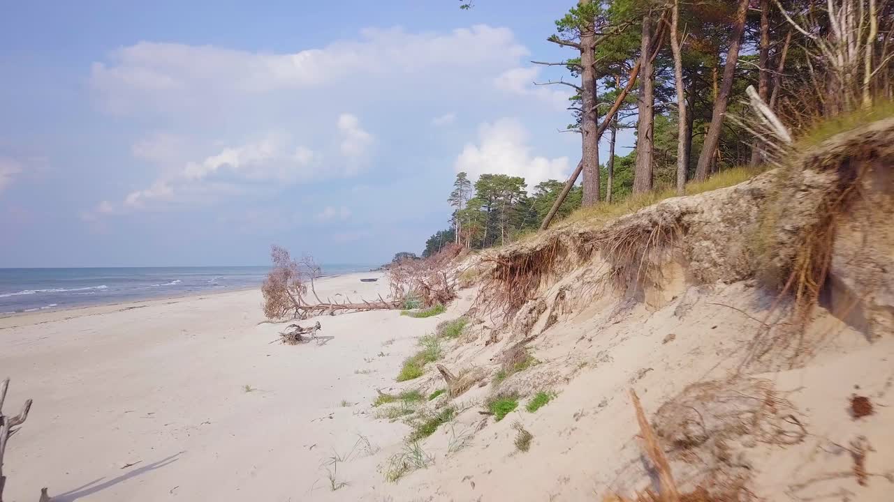 вид с воздуха на побережье балтийского моря в солнечный день, крутые дюны на берегу моря с белым песком, поврежденные волнами, сломанные сосны, эрозия побережья, изменения климата, широкоугольный снимок с дрона, движущийся вперед